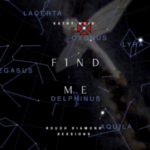 Rough Diamond of song 'Find Me'
