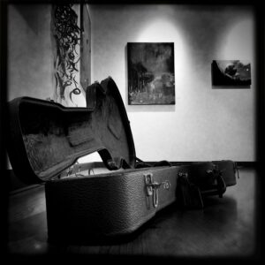 Guitar Case