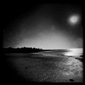 Midnight Sun