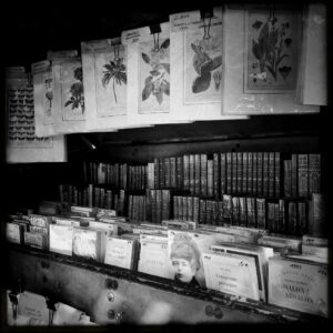 Books and Flowers