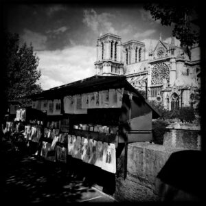 Left Bank